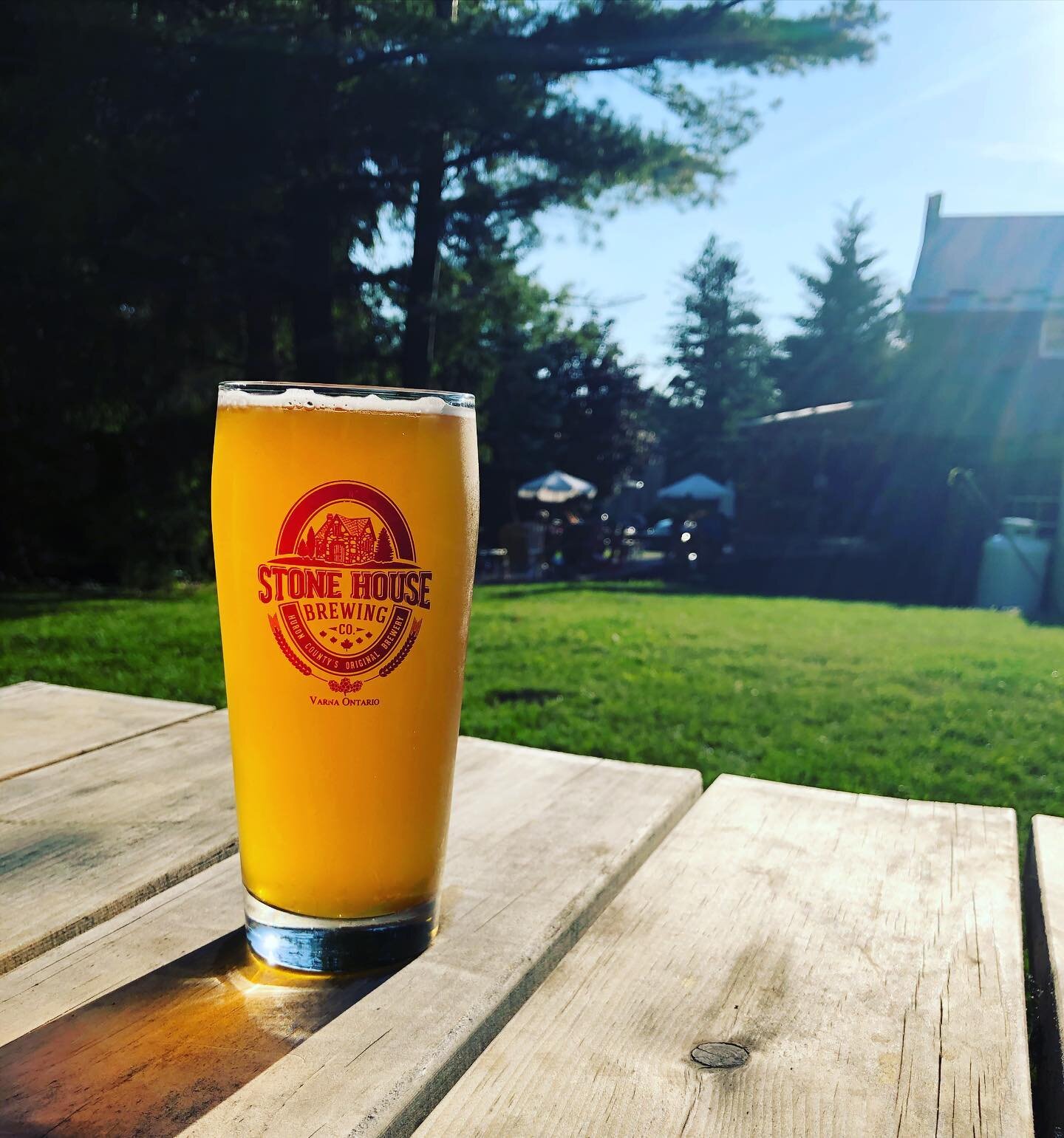 Look what our friends from Varna brought us! 🍺 👀  Thanks @stonehousebrewingcompany #localbeer #PortAlbertOntario #patiodays #huroncounty